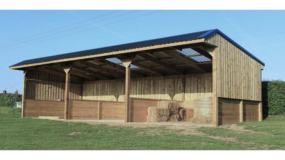 IMG_6798-2 IMG_6798-2