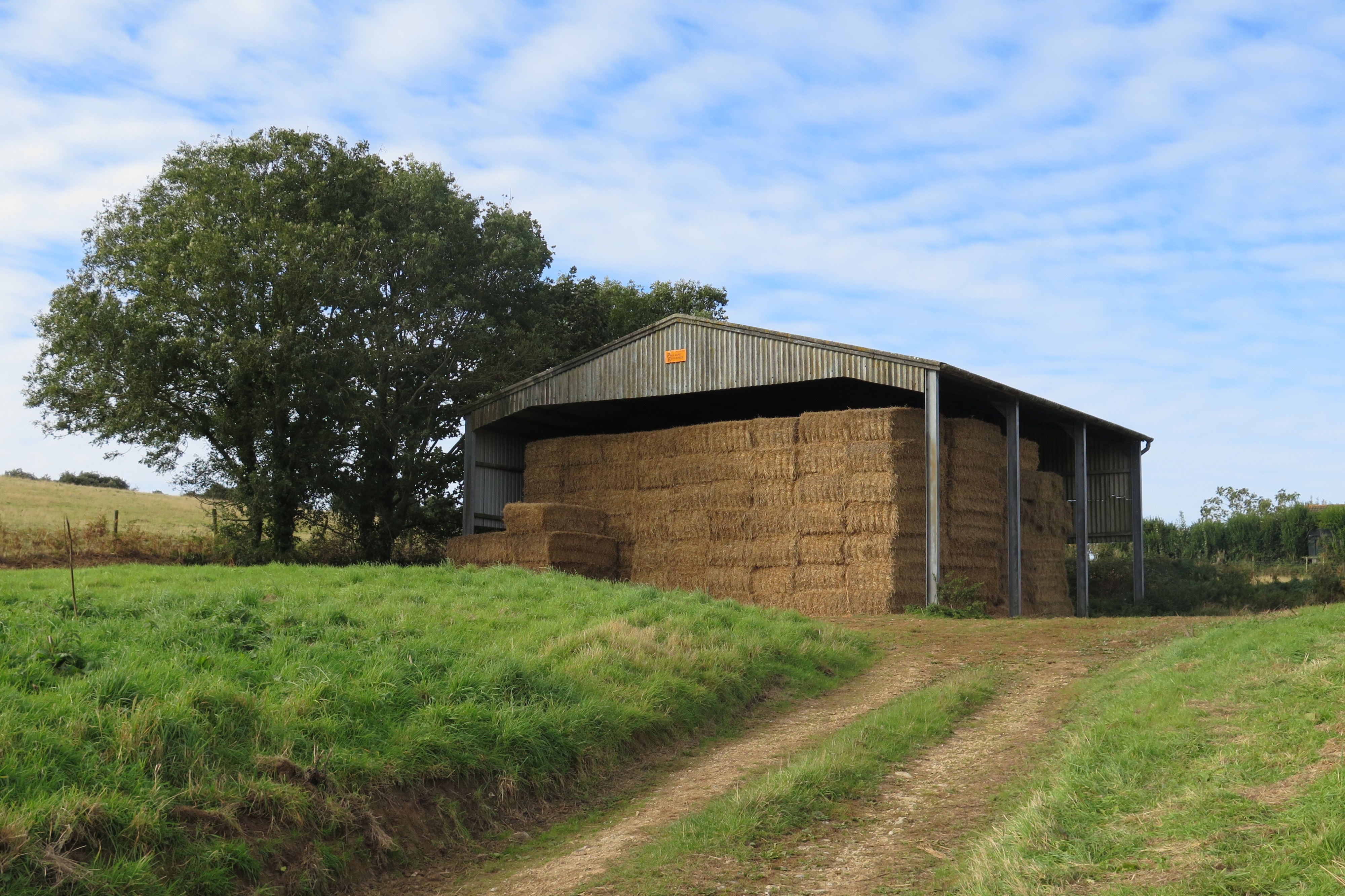 Thumbnail Mottaghan Reid Agriculture Barn Image Thumbnail Mottaghan Reid Agriculture Barn Image