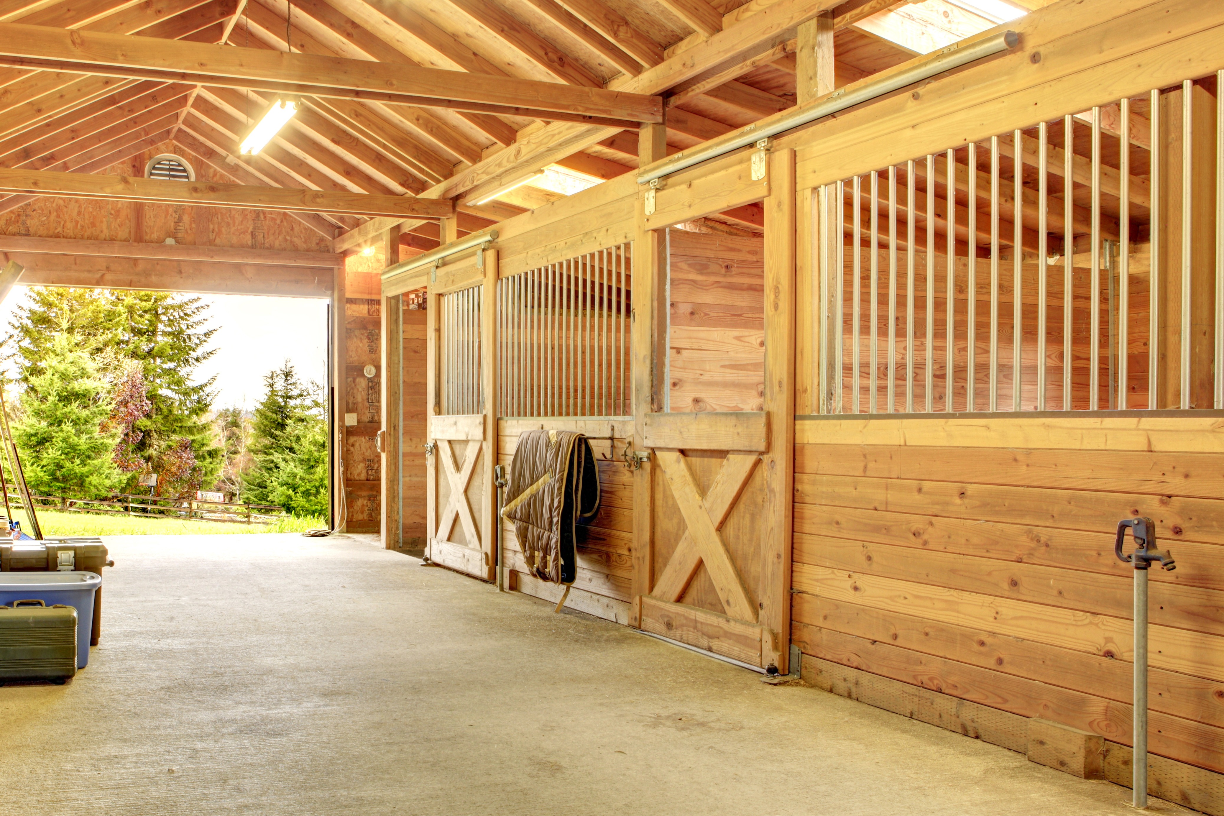 Thumbnail Mottaghan Reid Stable Image Thumbnail Mottaghan Reid Stable Image